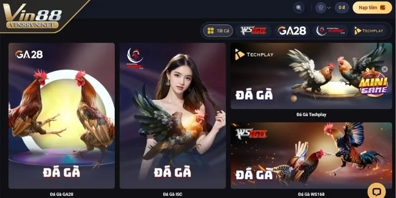 da-ga-vin88-dat-cuoc