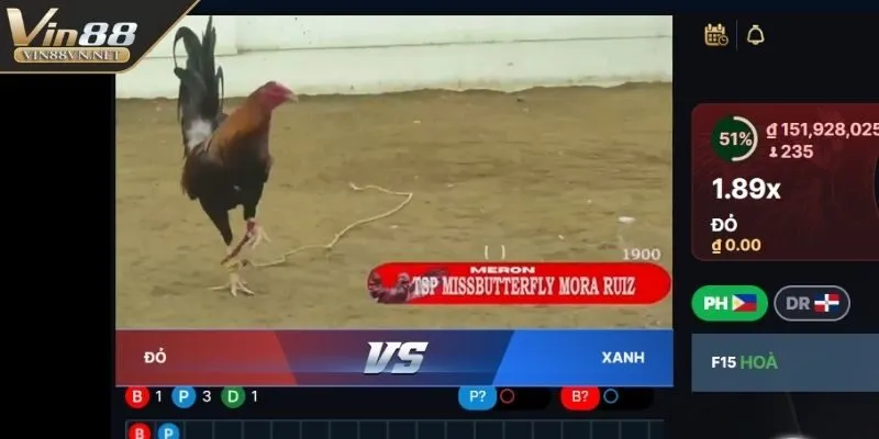 da-ga-vin88-phan-tich