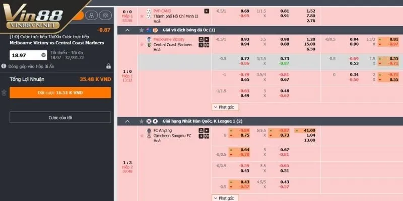 the-thao-vin88-quy-trinh-tham-gia