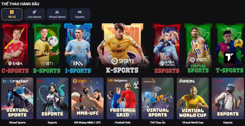 Cá Cược Thể Thao VIN88